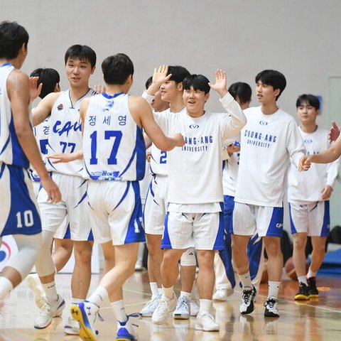 고찬유